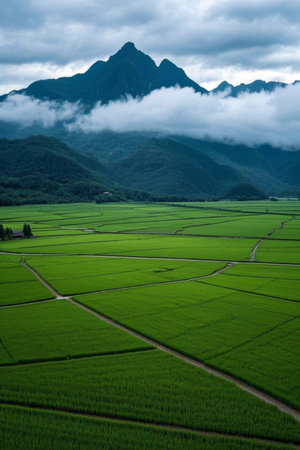 Aerial photography of green rice fields under green mountainsの素材