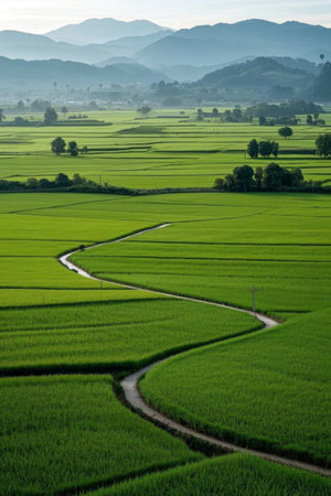 Winding field paths in idyllic sceneryの素材