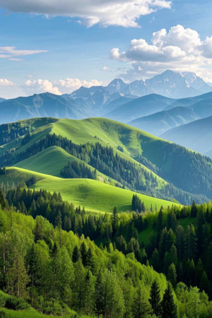 The natural landscape of Qingshan Forest and Yuanshanの素材