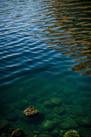 Underwater rock landscape in clear watersの素材