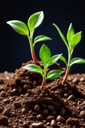 Young green plants growing in the soilの素材