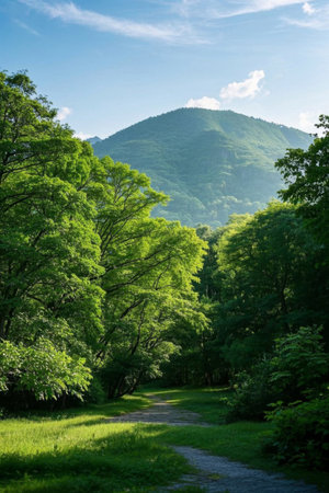 Green trail landscape among the mountains and forestsの素材