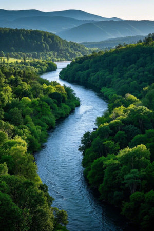 Mountain river and forest sceneryの素材