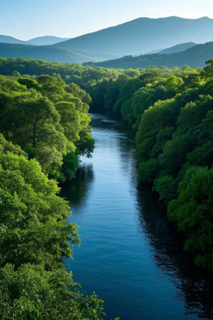 Panoramic view of the natural scenery of the river in the forestの素材