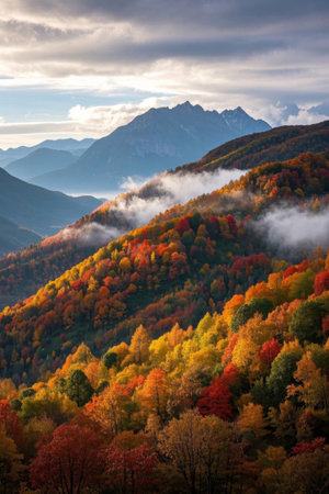 Autumn forests and distant mountain cloud landscapesの素材