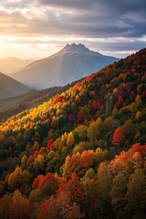 Colorful forests and distant mountain landscapes in autumnの素材