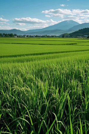 Field scenery and distant mountain sceneryの素材
