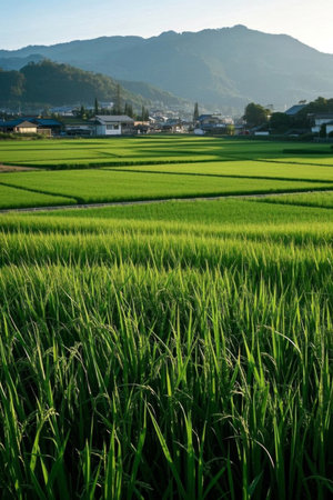 Field countryside and distant mountain natural landscapeの素材