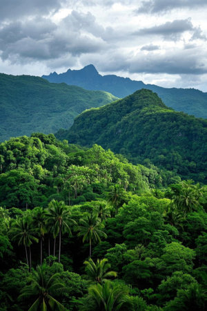 Dense green vegetation landscape in the mountains and forestsの素材