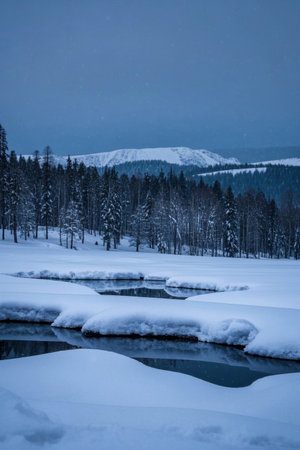 Winter Snow Forest River Landscapeの素材