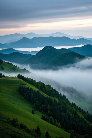 Natural scenery of mountain sea of clouds forestの素材