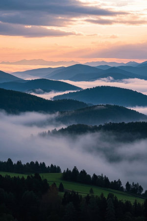 Panoramic view of the natural scenery of morning mist in the mountains and forestsの素材