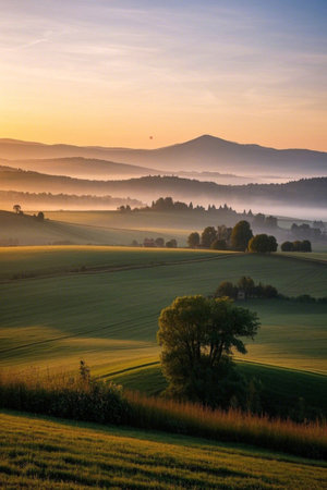 Mountains and fog in the pastoral morning lightの素材