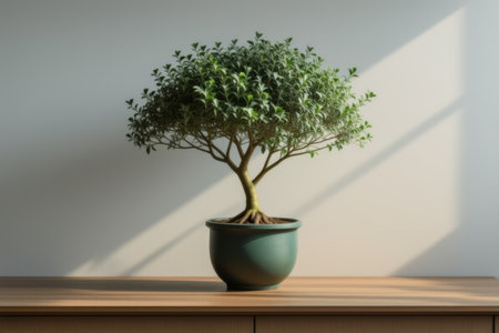 Potted green plants on a wooden tableの素材