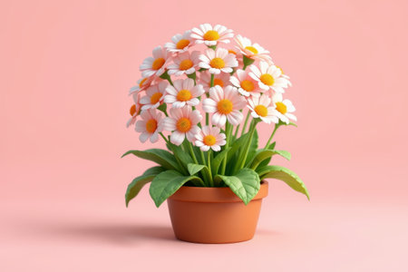 Potted daisies on pink backgroundの素材