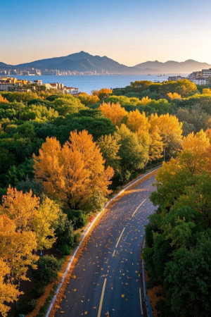 Colorful woods and distant mountain and sea views along the autumn highwayの素材