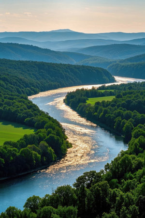 Forest natural scenery at the river bendの素材