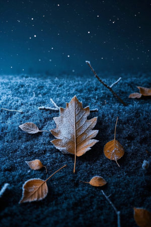 Snow-covered and dead leaves natural sceneの素材