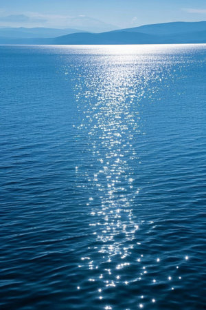 The sea sparkled in the sunの素材