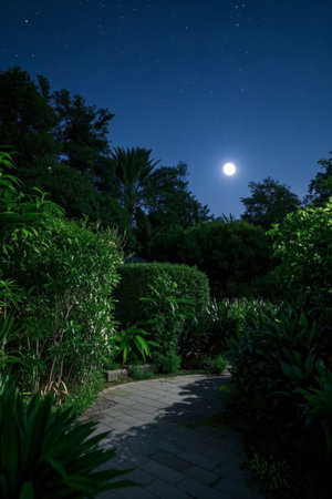 Garden path landscape on a moonlit nightの素材