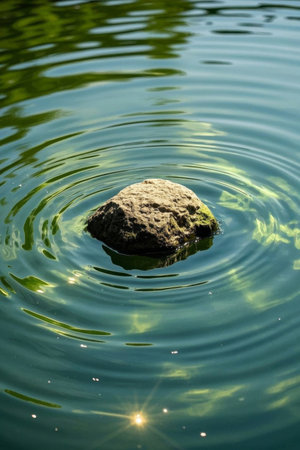 Stones and ripples in the waterの素材