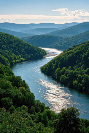 Panoramic view of the natural scenery of the river valley forestの素材