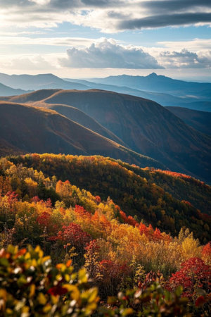 Colorful forest landscape in the mountains in autumnの素材