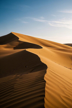 Desert dunes natural landscapeの素材