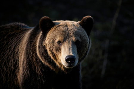 Fresh eggs on a wooden plateの素材