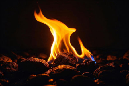 Transparent texture 3D kangaroo modelの素材