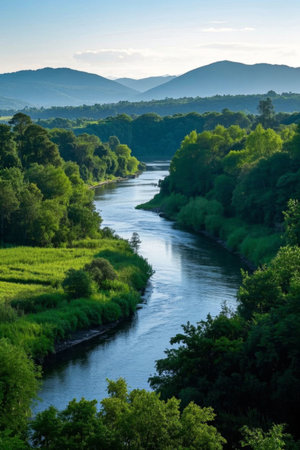 Panoramic view of natural scenery of river forestsの素材