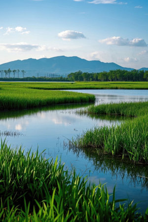 Wetlands and distant mountain landscapes in natural sceneryの素材