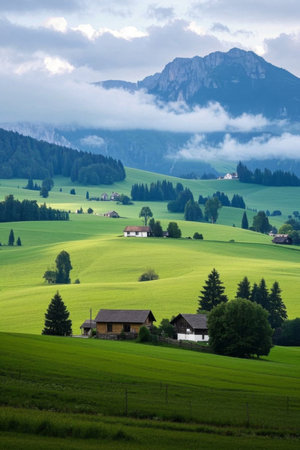 Green rural scenery in the mountainsの素材