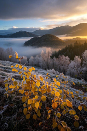 Frost leaf scenery in the morning mist in the mountainsの素材