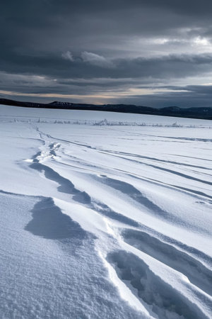 Outdoor snow tracks and gloomy sky landscapesの素材