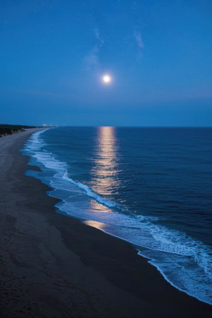 Beach and ocean view on moonlit nightの素材