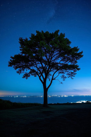 Lone trees under the starry sky at night and distant lightsの素材
