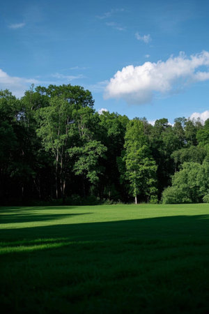Green forest grassland under blue sky and white cloudsの素材