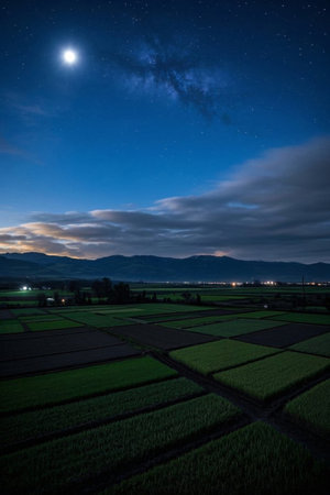 Fields and starry sky landscape under moonlit nightの素材