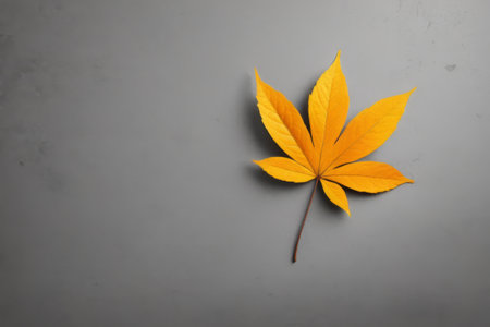 Close up of a still life with yellow maple leavesの素材