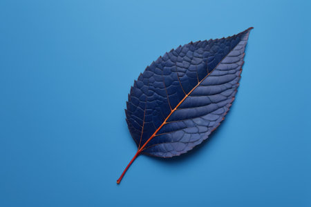 Dark leaves on a blue backgroundの素材