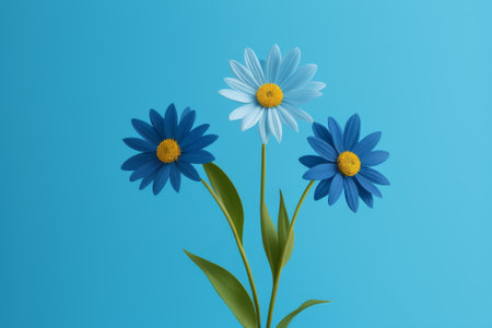 Three daisies on a blue backgroundの素材