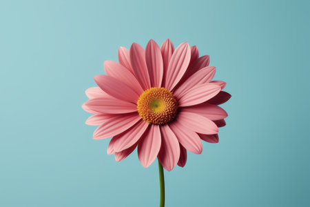 Close up of pink flowersの素材