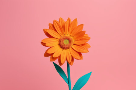 Orange flower material on pink backgroundの素材