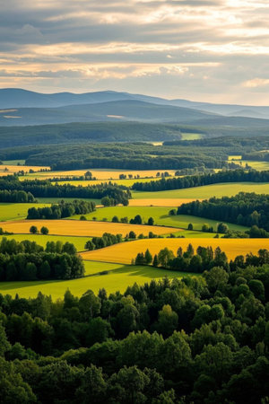 Field forest hills natural scenery panoramicの素材