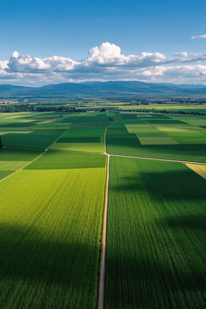 Aerial photography of vast green farmland and distant mountainsの素材