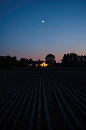 Farmland and illuminated houses under the moonlit nightの素材