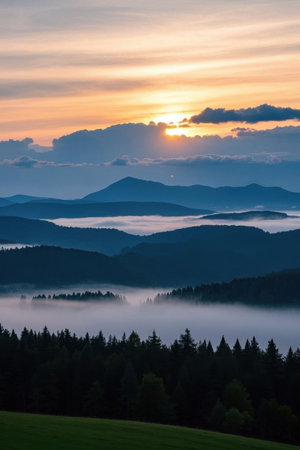Forest sunrise and sea of cloudsの素材