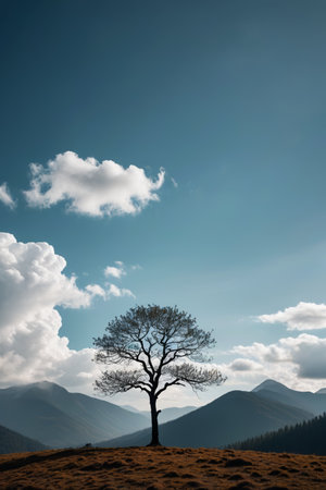 Lonely trees in the mountains and blue sky and white cloudsの素材