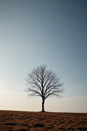 A lonely leafless tree in the wildernessの素材